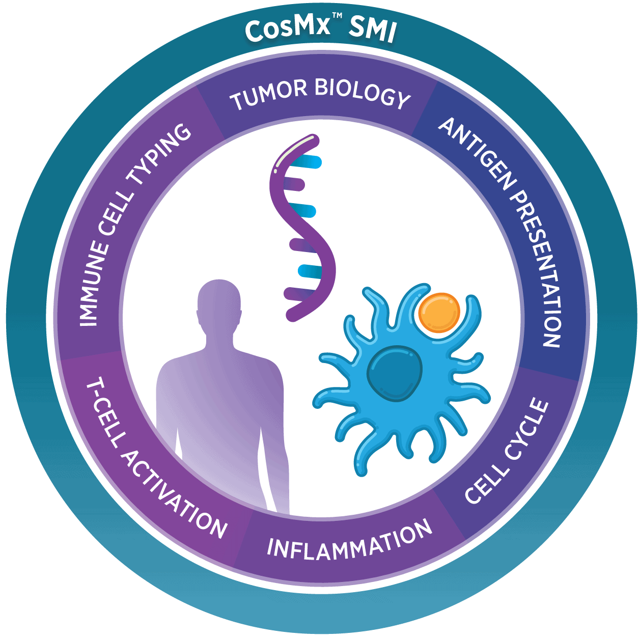 CosMx Human IO RNA Panel